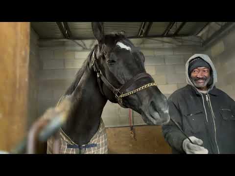 D’code Dominates: Ray Ashford Breaks Down the Big Win & Next Race