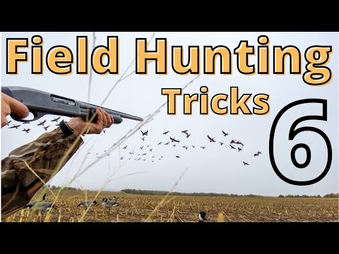 6 Ways to Fool More Geese Next Time You Set Up A Decoy Spread (#6 is a MUST!)