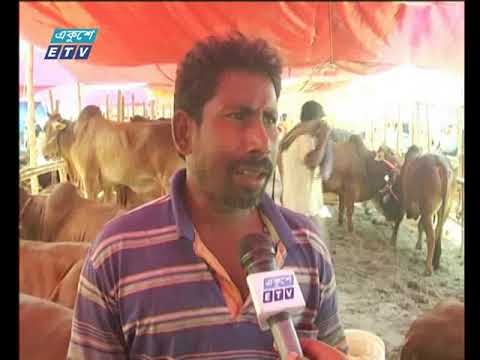 এখনোও জমে ওঠেনি রাজধানীর অস্থায়ী পশুর হাট