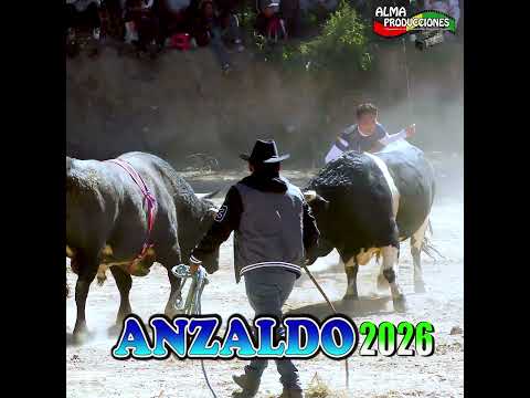 Toro Tinku de ANZALDO 2026 T3CB "Zuñiga-Tauro".#shortsviral  #almaproduccionesbolivia #toros