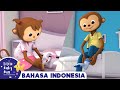 Lagu Belajar Berpakaian Kartun Lagu Anak Populer Little Baby Bum Bahasa Indonesia