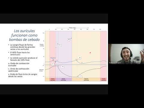 Clase de Repaso TYTL - Ciclo Cardiaco y Regulación de la PA - Prof Guillermo Grigioni
