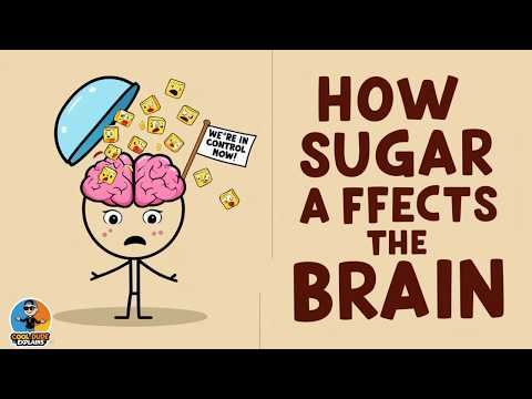 How Sugar Affects Your Brain | The Shocking Effects of Sugar on Dopamine, Cravings & Brain Function