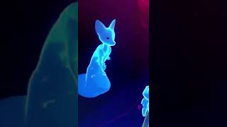 Tunic | A Top Down Combat Game Inspired By Zelda | Difficult Games | Gamepass | First Impression