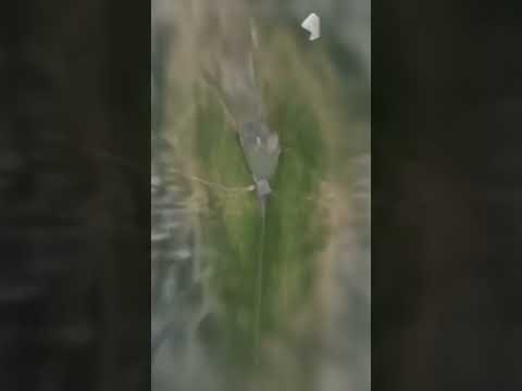 #travel #viral #vakti #bd #trending