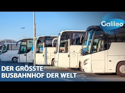 Up to 2,000 buses run here every day! - How does such a mega bus station work?