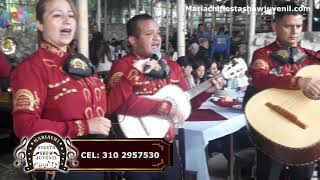 Video de Mariachi Fiesta Show Juvenil