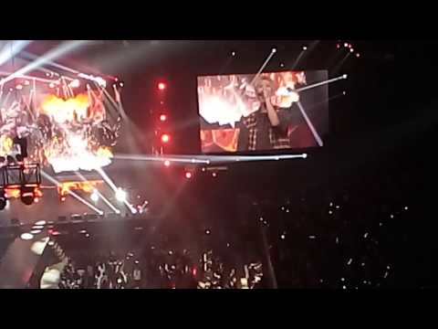 BAP Manila 2016 show champion