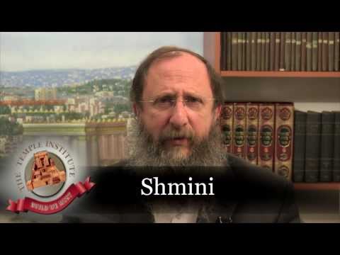 Weekly Torah Portion: Shmini