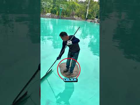 Mereka Tidak Pernah Terjebak Di Tengah 🤯 #shorts