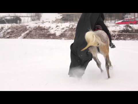 Moja si roža - Miljenko Golub TV spot