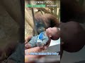 Top Life Is Beautiful Moments Of All Time Shorts Lifeisbeautiful