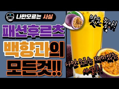 여신의 과일, 백 가지 맛! 백향과의 모든것! 패션후르츠 효능과 부작용, 제철시기, 손질법