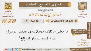 084   ما معنى «مائلات مميلات» في حديث الرسول «نساء كاسيات عاريات»؟ للإمام ابن باز image