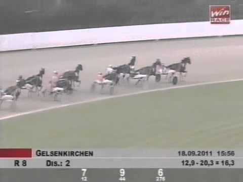 Deutsches Traber St. Leger 2011 -Lobell Countess