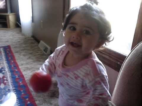 halenur ve ahmet can