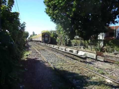 Toshibas en Villa Devoto (1)