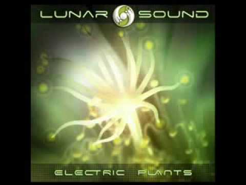 Lunar 4 Sound - Electric Plants