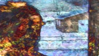 Robyn Hitchcock - on the moon