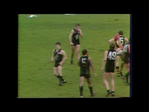 1985 Round 8 - Carlton vs Richmond at Princes Park - Carlton Highlights
