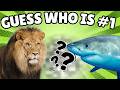 Wild Animals For Kids Learn Ferocious Animals Opposites More 60 MINS Preschool Learning