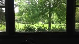 50) Dreams: Babylon (US) falls and 144K rises, soon