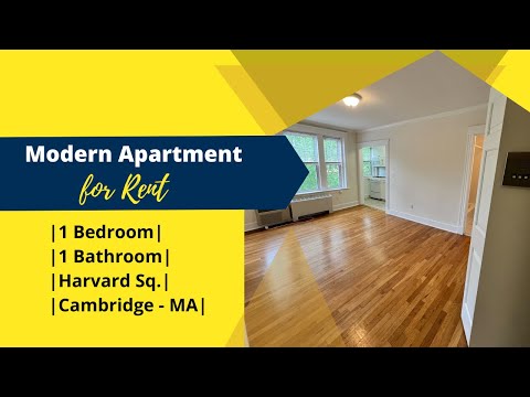 1 Bed 1 Bath apartment for rent in Harvard Sq. Cambridge - MA