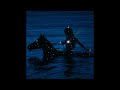 (FREE) Don Toliver x Clams Casino Type Beat - "VOID"