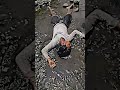 Gangster Video New Reel Rowdy Boys Rock Partha 2 0