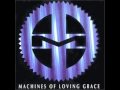 All I Really Need - Machines of Loving Grace