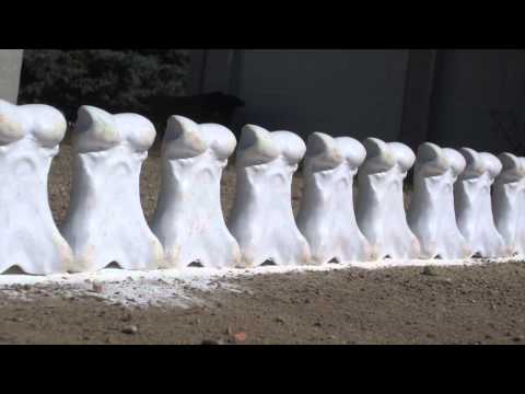 Bunnock : The Game of Bones