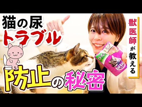 猫の尿は病気を媒介しますか?