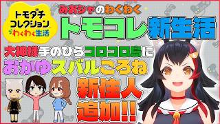 【トモコレわくわく生活】おかゆに恋したミオしゃにゃんぐこーんに妹体温の話をさせる【ホロライブ切り抜き/大神ミオ】