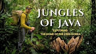 Exploring Java's DEADLY Jungles Home to the World's LARGEST Snake
