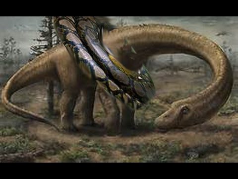 Wow! children Catch A Big Snake With Bare Hand - How To Catch Snake In Cambodia#3