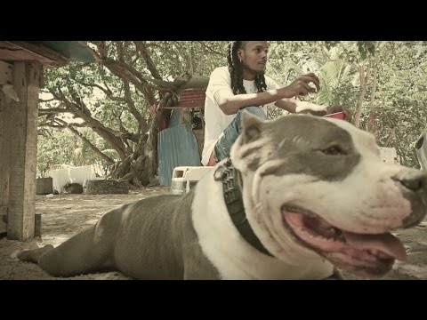 BEWONE X LIL LYAN - Block An Mwen (🔥Clip Exclu🔥)