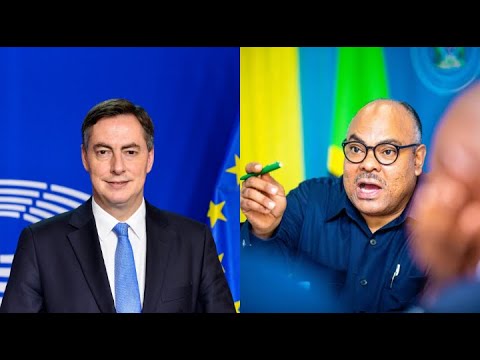 Serikali: Tanzania haifungwi na maamuzi ya Bunge la EU, hatujapewa fursa ya kusikilizwa