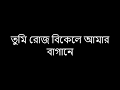 Tumi Roj Bikele l Kumar Bishwajit l Lyrical Video [Lyrics]