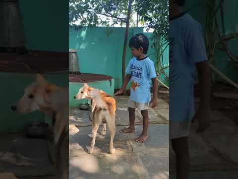 Dhruva SpendingTime with Dog