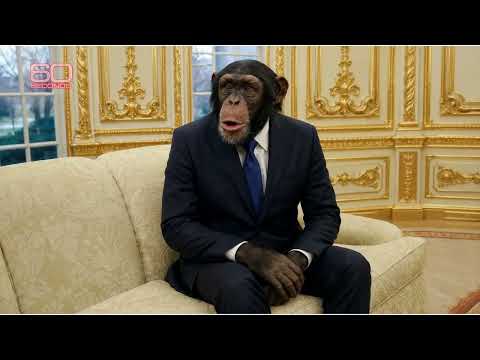 "60 SECONDS" - Trump's Tariffs (SATIRE)