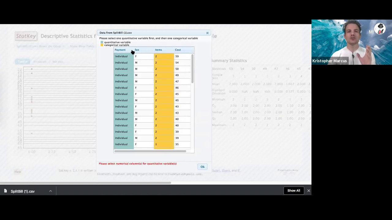 StatKey Upload Data File