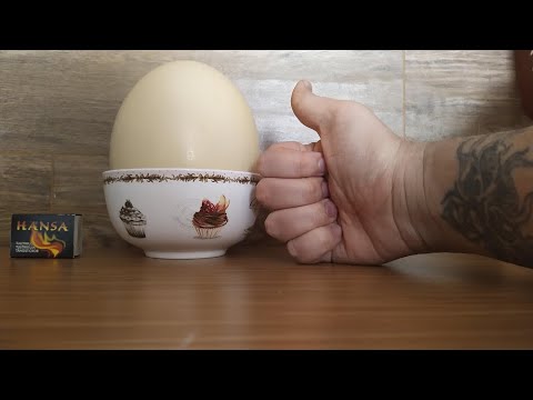 How to make the Ultimate Deviled Egg (Ostrich Egg)