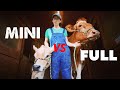 What's EASIER? MILKING a MINI COW or FULL SIZED COW?
