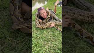 Download lagu TERIAK MINTA TOLONG! Cewek Ini Dikirain Kesurupan, Ternyata DILILIT ULAR RAKSASA! #shortvideo #snake mp3 Download lagu TERIAK MINTA TOLONG! Cewek Ini Dikirain Kesurupan, Ternyata DILILIT ULAR RAKSASA! #shortvideo #snake mp3