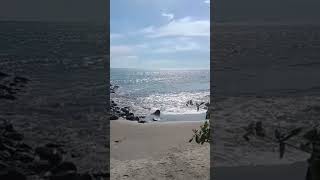 Download lagu DUSTA CINTA, maulana wijaya#shorts#viral#pantai#padang mp3