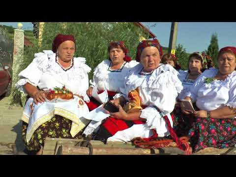 Aducerea Icoanei ”Maica Domnului Pantanassa”la Valea Bourei-Suceava-31/13 august 2017-partea 1