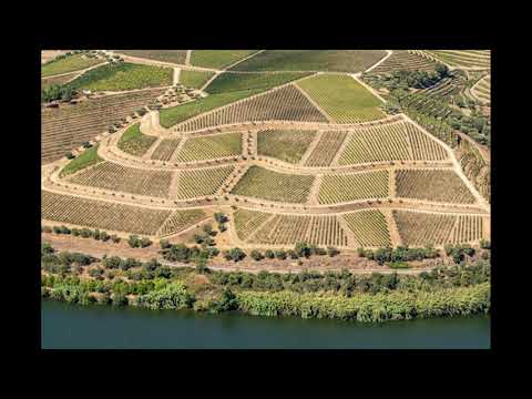 Vale do Douro - The Douro Valley. www.travelconosco.com