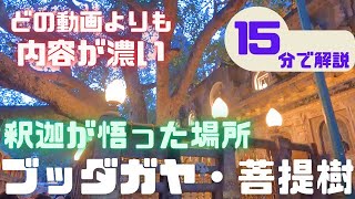 現地から詳しく解説！ブッダガヤ「マハーボディ寺院」「菩提樹」を紹介！【仏教聖地巡礼シリーズ③】