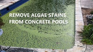 Algae Stains on Pool Plaster
