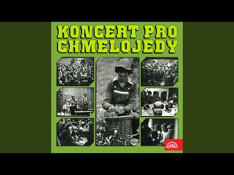 Dým (Mystery Train)